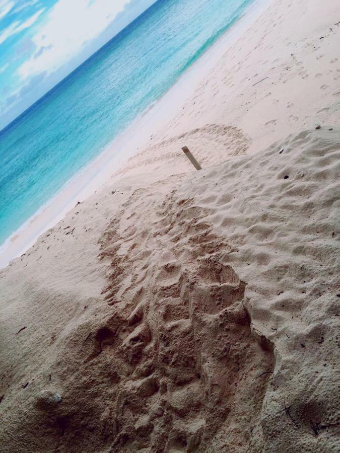 Thalassa Beach And Pool Villa 舆论町 外观 照片